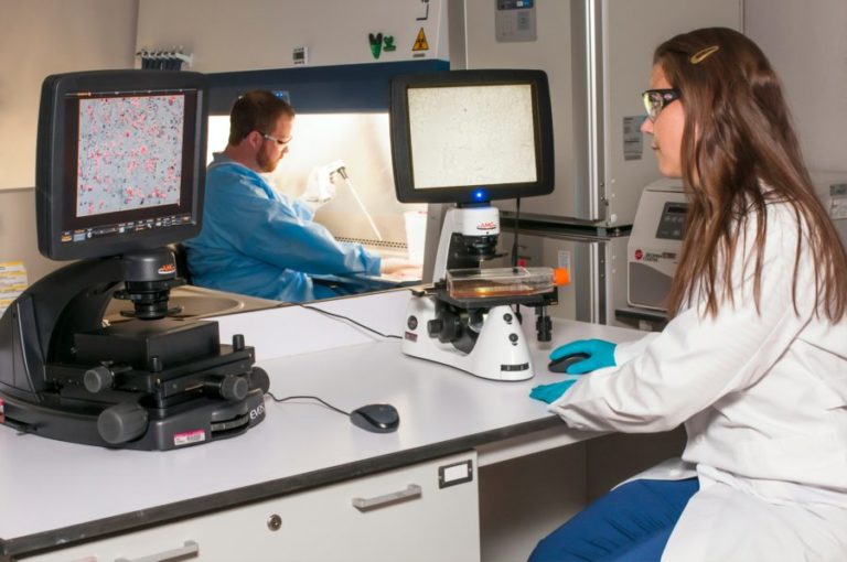 Best Biotech Penny Stocks